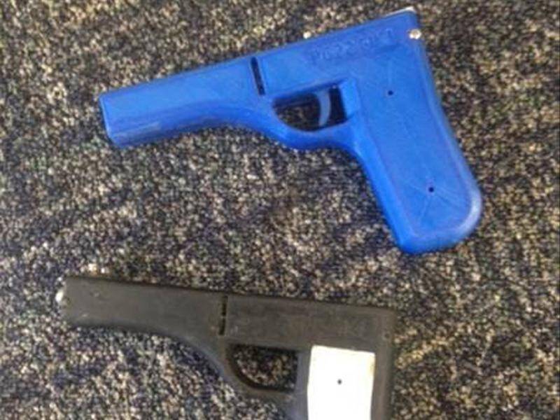 Three fully functional 3D-printed guns have been seized by police in a raid on the Sunshine Coast.