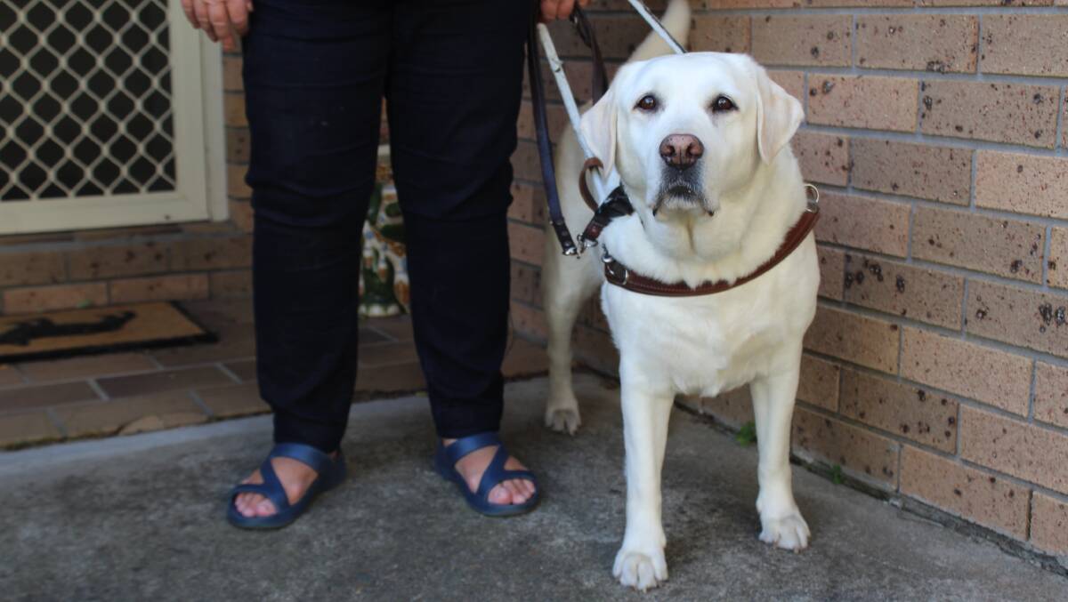 Mills' guide dog Isa was attacked in 2016, but recovered and has been by her side for seven years.