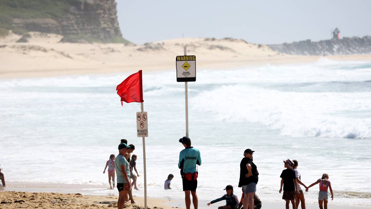 Nobbys beach was closed shortly after it opened on Sunday after a large shark was spotted near shore for the second time in as many days. Picture by Peter Lorimer