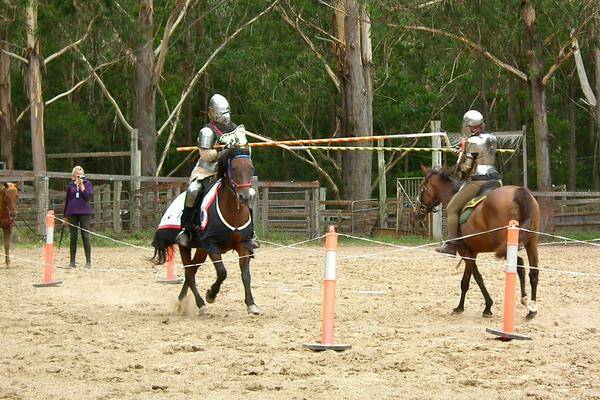 JUST JOUSTING: Three-metre lances will test participants in the play tournament this Saturday.