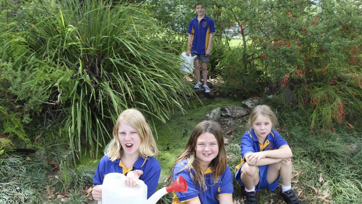 ECO WARRIORS: Awaba Public School students Tiarah Hicks, Hayley Cable, Grace Truscott and Jackson Bunn enjoy the school pond. Picture by Jamieson Murphy.
